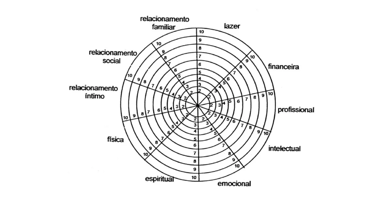 Roda da vida com as áreas familiar, social, afetiva, física, espiritual, emocional, intelectual, profissional, financeira e lazer